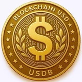 USDB logo